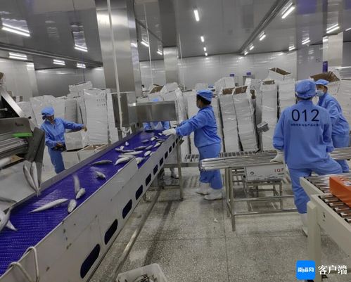 文昌約亭產業園發展駛上快車道，打造產業新高地